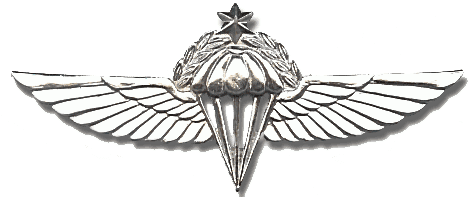 Paratroopers Brigade - para wings